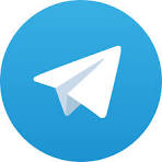 big fish casino 777 Telegram Bot